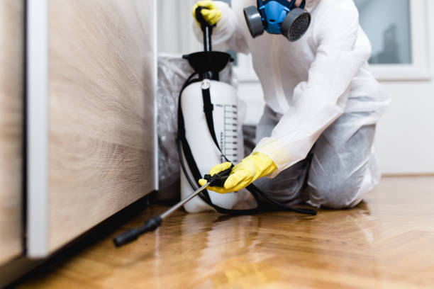 Best Local Pest Control Services  in Gore, OK