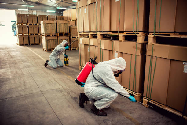 Best Mosquito Control Services  in Gore, OK