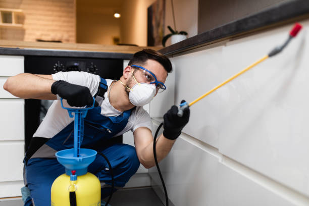 Trusted Gore, OK Pest Control Experts
