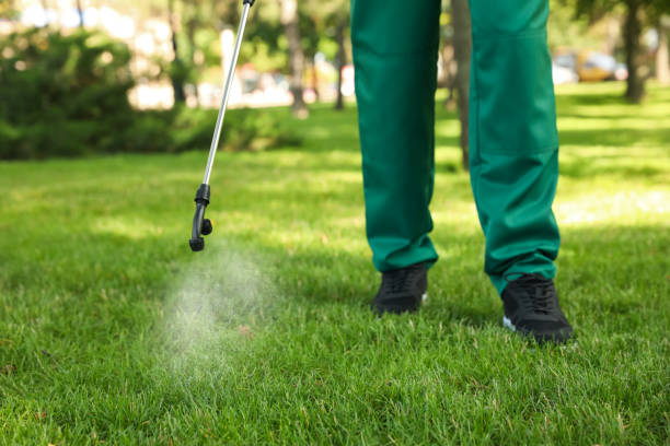 Best Pest Control for Businesses  in Gore, OK