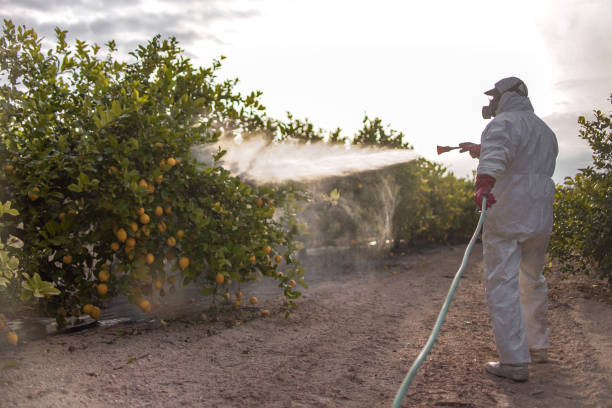 Flea Control Services in Gore, OK