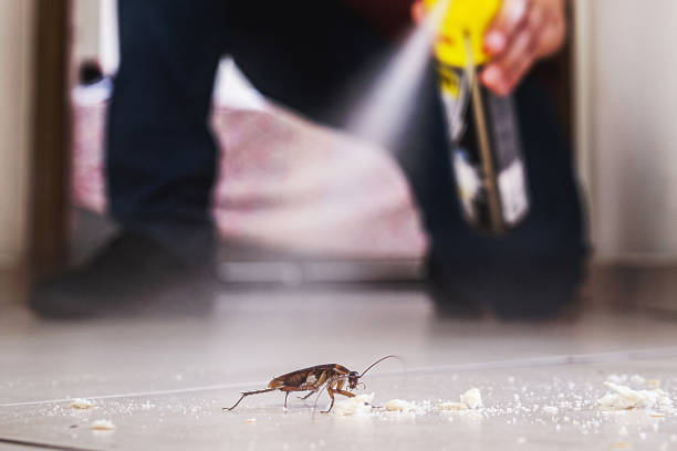 Best Commercial Pest Control Services  in Gore, OK