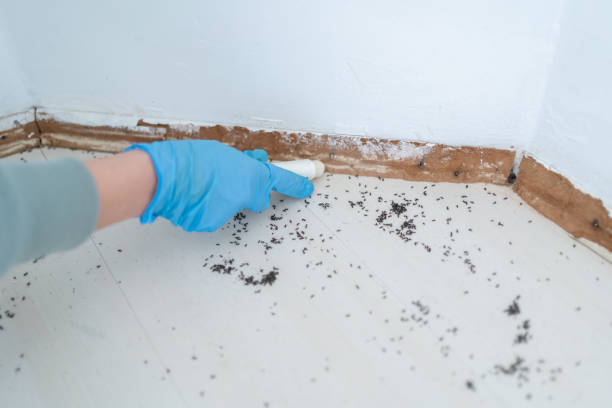 Best Best Pest Control Companies  in Gore, OK