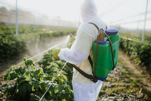 Best Flea Control Services  in Gore, OK